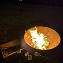 비고리조트 8 이미지