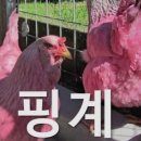 양정시장 이미지