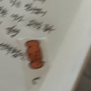 너도 건강하고 행복만 해