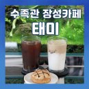 장성공설운동장 11 | 전남 대형카페 추천 장성 카페 태미 수족관까지 있는 이색카페 후기