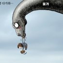 일상회 이미지