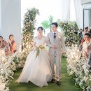 다르미앙 이미지