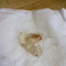 만둔사지 이미지