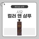 펌앤컬러헤어샵