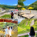 낙산계곡펜션 | 대구 근교 계곡 경북 가볼만한곳 BEST5