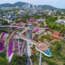 스카이코리아투어