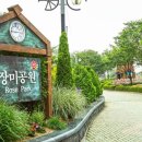 장미모텔 | 곡성세계장미축제 가볼만한 곳 베스트 7 (2025년 최신 여행지 추천)