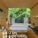 (야간)치유요가 | 숲과 나 사이, 쉼과 몰입이 이어지는 시간 🌿 제주 웰리스 리트릿 에가톳 캐빈 숙박 후기