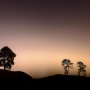 벨 헤이는 밤 이미지