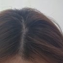 메아리 미용실 - 평택시 | 평택역 2번 출구 가성비 미용실, 메아리 미용실 뿌리염색 3만원 추천 후기