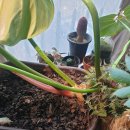 안스그룹 이미지