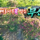 무산사 티스토리
