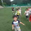 선암호수공원축구장 이미지