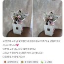 핑크 스파이더 | 플리마인 플레르 꽃이야기 12편 ㅣ 교수님선물로 드릴 핑크 스파이더거베라