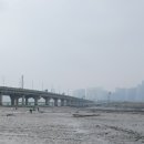 송도갯벌