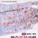 장승포해안로 이미지