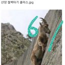 15 ........ "로또용지 6 / 45 " 이미지