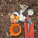 용미4리 이미지