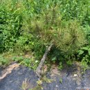 선임농장 이미지