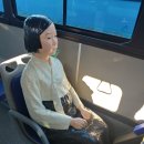 춘천평화의 소녀상 이미지