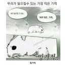 찬이네 이미지