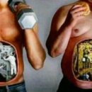 에르마노 피티스튜디오 이미지