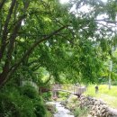 영산법화사 이미지