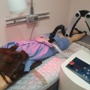 리챠드프로헤어신방본점
