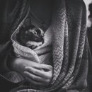 봄여름가을 이미지