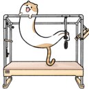 기체조(화타오금희) 이미지