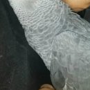 DNA PC CAFE 이미지