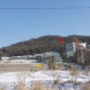 장수공인중개사사무소 이미지