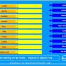 Adjectives for Describing Personality Opposites (antonyms) Matching Quiz 이미지