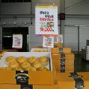 농산물직판장 이미지