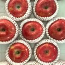 햇터농장 이미지