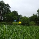 동강공인중개사사무소 이미지