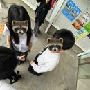 성혜기획 | [KRX퓨처스타] 서류부터 면접까지 오로지 나만을 위한 .. 일종의 아카이브..?