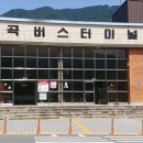 창녕군 남지시외버스터미널 이미지