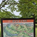 장어세상 이미지