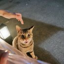 인생맥주 이미지