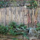 수련산방 이미지