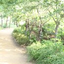 몽마르뜨공원 이미지