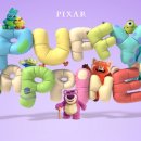 코리아 퍼피 이미지