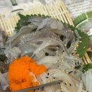 바다로 | 구송도맛집 바다로횟집 산오징어회 세트 먹고 온 후기 아이랑 가족모임 추천