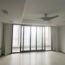 살구골서광·성지·동아·진덕 이미지