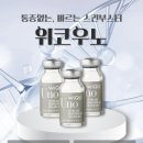 위노스킨