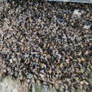 오늘은 참슬픈날이다 이미지