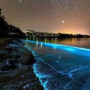 해일목장 | 날 움직이게 하고 일렁이게 했어