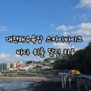 대천해수욕장 | 대천해수욕장 스카이바이크 후기 바다 위를 달리는 가족여행 코스 추천!