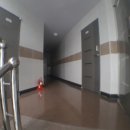 신대부적1공원 이미지